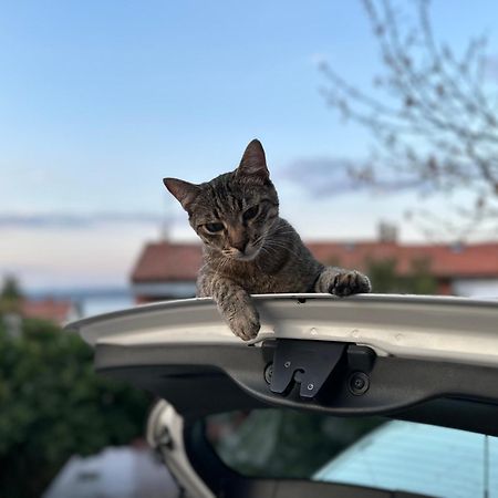 Pri Piratski Macki - At The Pirate Cat - Dal Gatto Pirata Κόπερ Εξωτερικό φωτογραφία
