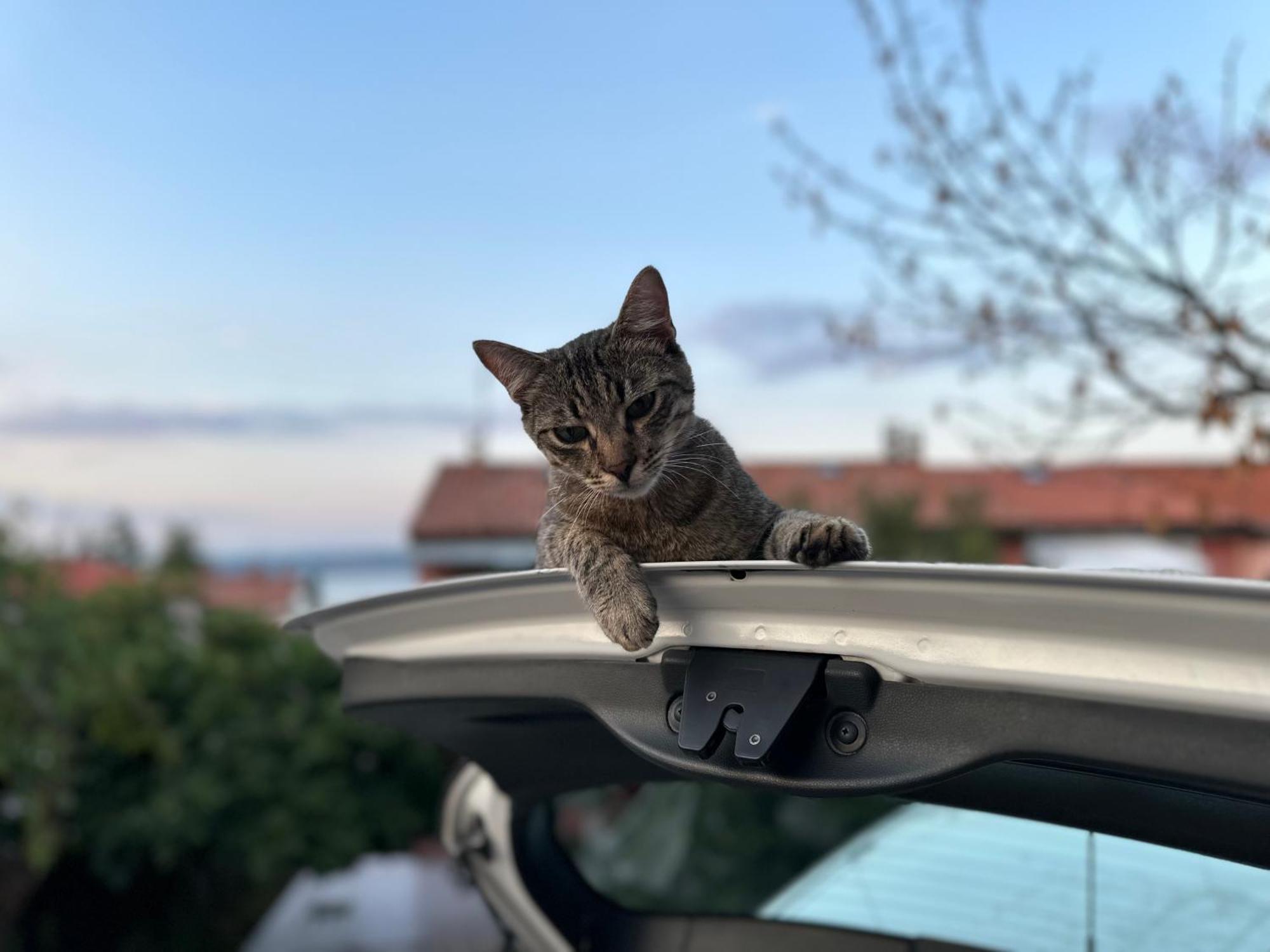 Pri Piratski Macki - At The Pirate Cat - Dal Gatto Pirata Κόπερ Εξωτερικό φωτογραφία